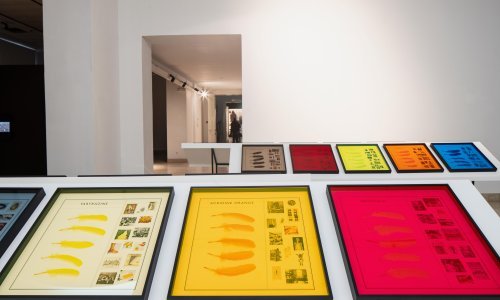 Međunarodna izložba 'Šest uzoraka katastrofe'