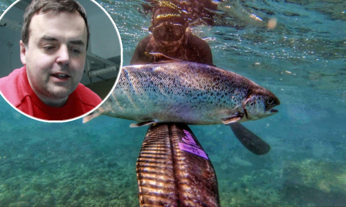 Atlantski losos u Jadranu: Stručnjak nam otkriva što se događa i kakve sve probleme može uzrokovati