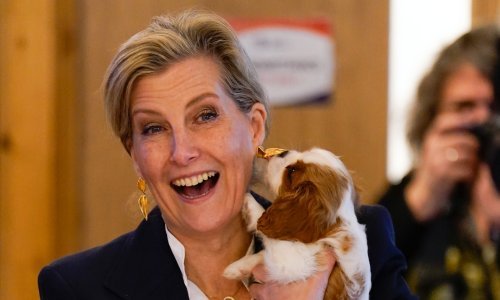 Elegantno, ali ne i primjereno: Vojvotkinja Sophie privukla je pozornost ovim izgledom