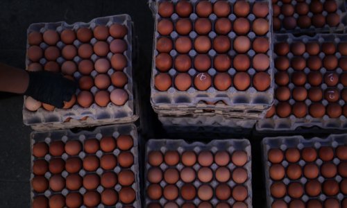 Jaja bi mogla zauvijek ostati ovako skupa