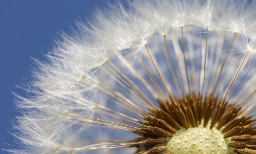 Osvojili drugi put titulu najodrživije kompanije na svijetu; evo što sve rade