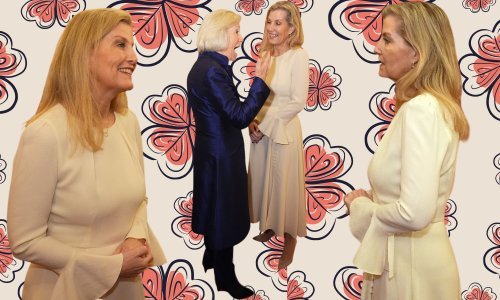 Omiljena kraljičina snaha iz ormara je izvukla već viđenu haljinu i nije pogriješila