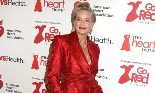 Teško da ijedna haljina može zasjeniti komad koji nosi Sharon Stone