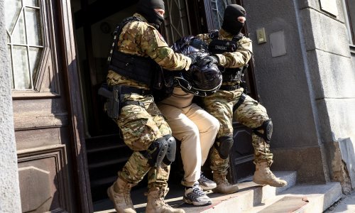 Pogledajte akciju specijalaca u BiH, u velikoj raciji uhitili taksista