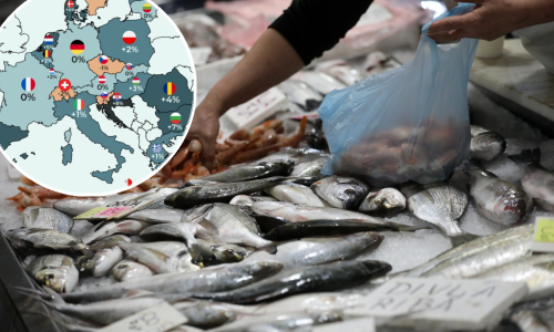 Volimo se pohvaliti morem, ali ne i cijenama ribe: Otkriveno koliko je poskupjela