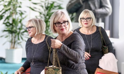 'Šefica sjevera' koja si plaća reklame na lokalnim portalima: Tko je Barbara Antolić Vupora