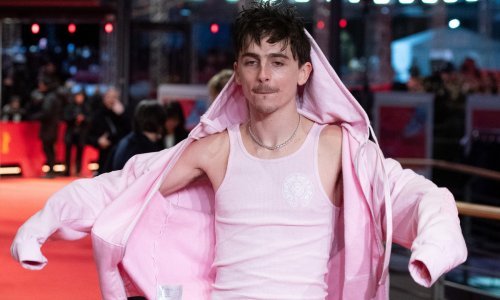 Timothée Chalamet na crveni tepih stigao u neobičnim bakandžama