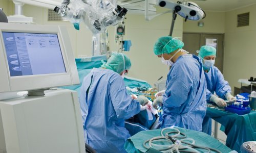 Amerikanka živjela više od četiri mjeseca sa svinjskim bubregom