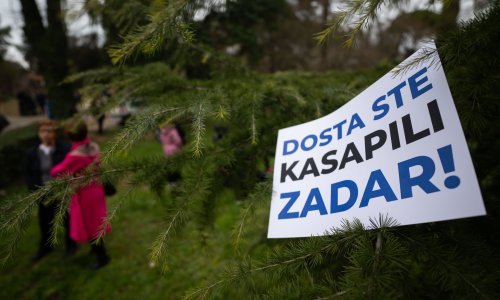 Zadrani ponovno izašli na ulicu za spas Vruljice, potpisivala se i peticija