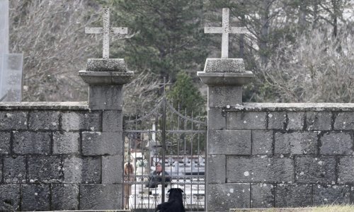 Pas Bruno svakodnevno obilazi groblje gdje je pokopan njegov vlasnik