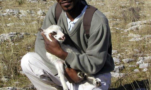 Crni pastir pijan sletio u minsko polje