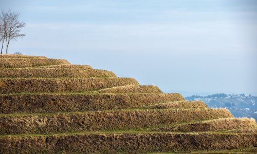 Kakvo priznanje! Ova hrvatska regija među top 10