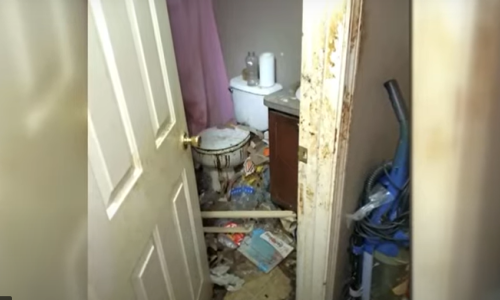 Majka ostavila djecu samu u kući 4 godine! Policija otkrila detalje stravičnog slučaja