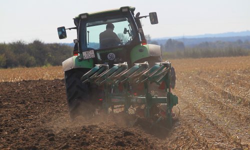 U 2024. zasijano manje žitarica, sjetva uljane repice povećana