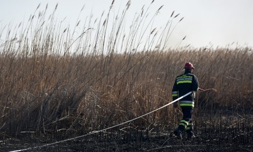 Za požar u rezervatu osumnjičen 74-godišnjak, policija otkrila detalje