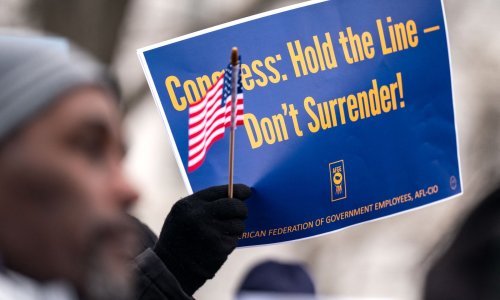 Državne službe SAD-a u kaosu, ide prva velika tužba: Neće nama privilegirani milijarder popovati!