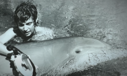 Nevjerojatna priča: Kako je NASA-in test propao zbog 'osjetljivog' odnosa s delfinom?