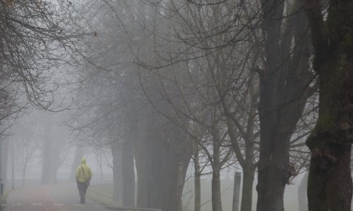 Žetva magle: Znanstvenici objasnili kako spasiti sušna područja