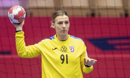 Bila je oslonac hrvatske reprezentacije, a onda se sve raspalo; sad sadi krumpire