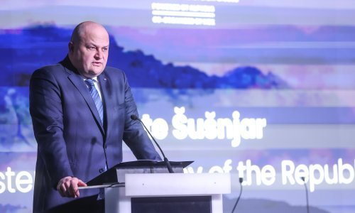 Šušnjar: 'Nema nikakvog razloga da Domovinski pokret ne bude uz svoju vladu'
