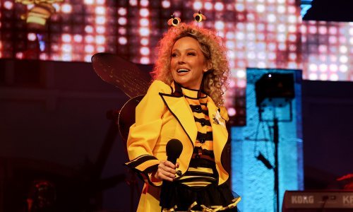 Ovo može samo Maja Šuput! Prvo je bila Wonder Woman, pa Catwoman, Buba Mara i sad je Pčelica Maja