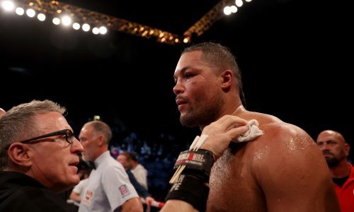 Tko je naredni Hrgovićev suparnik? Jedinstvena pojava u boksu i borac koji je pobijedio aktualnog prvaka