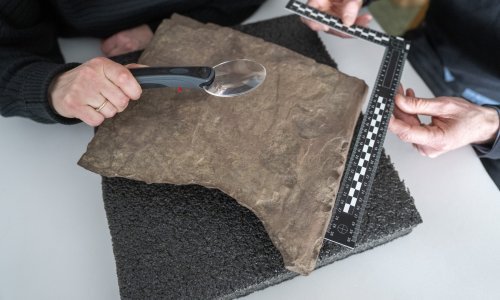 Najstariji natpis na runama star je oko 2000 godina i možda ga je pisala žena