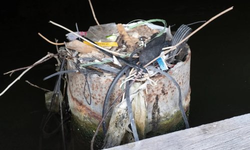 Zemlja ulazi u plastičnu eru - a ptice to nesvjesno bilježe