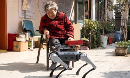 Starenje društva sve je veći problem. Ova država polaže sve nade u umjetnu inteligenciju