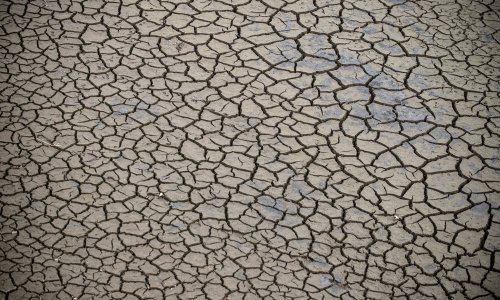 Alarmantno upozorenje: Gradovi pod udarom poplava i suša zbog porasta temperature