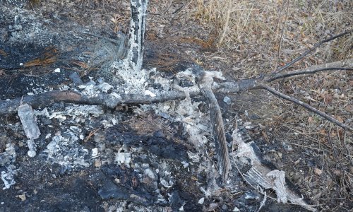 Užas kod Petrinje: Ubio suprugu, zapalio tijelo pa policiji rekao da je poginula u prometnoj