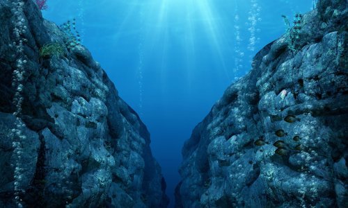 Znanstvenici otkrili nove vrste u najdubljim dijelovima oceana. Pronašli i hrpu smeća