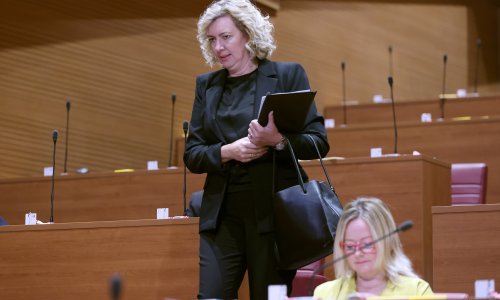 Jeckov se obrušila na Jurčevića zbog prozivanja srpske zajednice: Vaše su riječi opasne i lažne