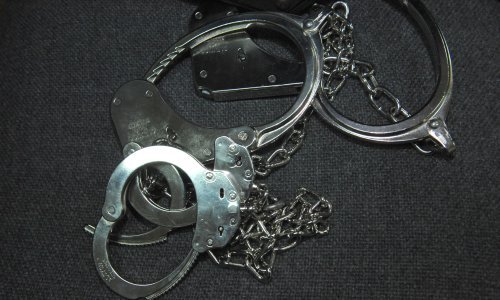 Djelatnik suda nepravomoćno osuđen na 6 godina zatvora zbog silovanja maloljetnika, imao i video mučenja životinja