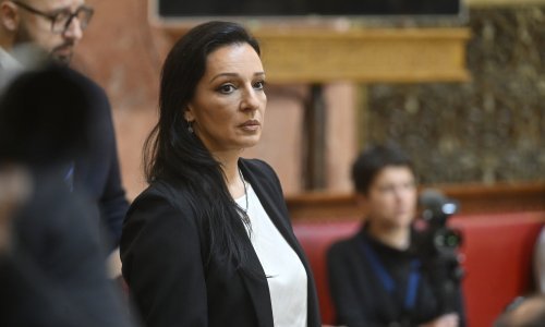 Srbijanska oporbena zastupnica: MUP je kupio 16 zvučnih topova