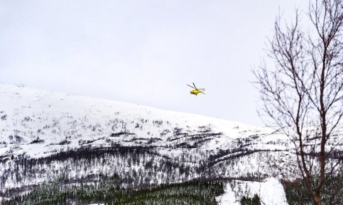 Čudo u Norveškoj: Turist preživio sedam sati zatrpan ispod lavine. Whiskey je bio ključan