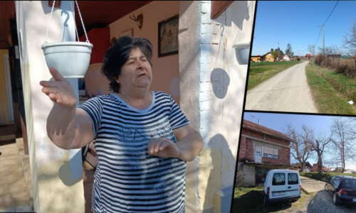 Užas kod Čazme: Čopor pasa napao ženu, na respiratoru je