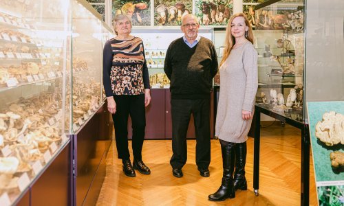 Najveća zbirka gljiva na svijetu je spašena: Hrvatski lovački savez preuzima odgovornost