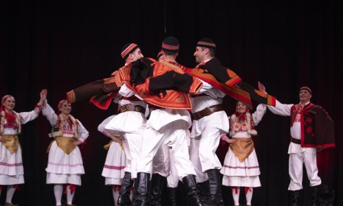 Vruće brojke: Koliko država izdvaja za doprinose samostalnim umjetnicima