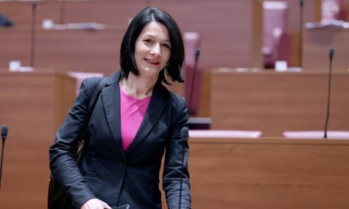 DP u Slavonskom Brodu predstavio kandidate za županicu i gradonačelnika