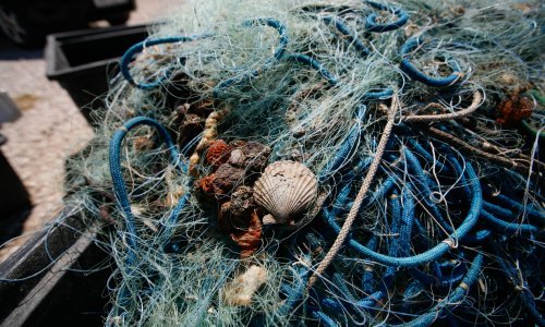 Dalmatinski ribari dva sata borili se s nevjerojatnim ulovom