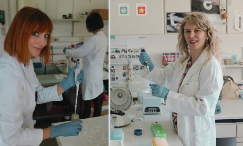 Ruđerovci istražuju kako dagnje, med i kukci otkrivaju informacije o okolišu