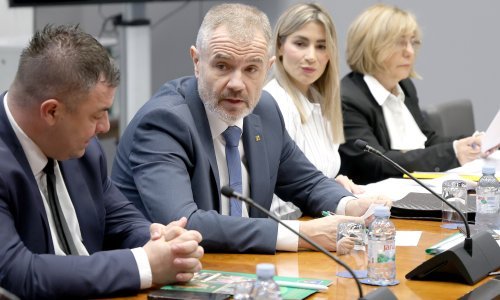 Jankovics: Ustavni sud nam je dao za pravo, Kolakušić se ne može vratiti u Sabor