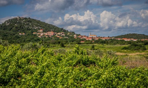 Odlične vijesti za arheologe: Nalazi u Zakotorcu na Pelješcu povezuju Baltik s Levantom