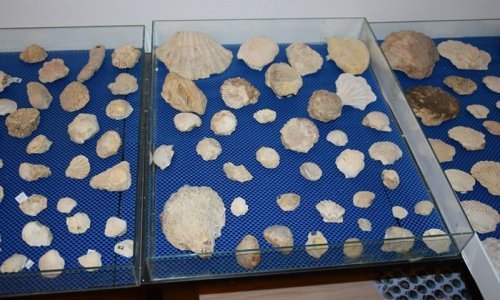 FOTO Pogledajte što je policija pronašla kod muškarca iz Sl. Broda