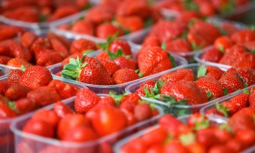 Hrana je krcata kemijom koja utječe na hormone: Evo tko je najugroženiji i kako se zaštititi