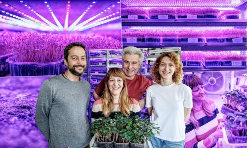 Bračni par na 17. katu uzgaja mikrobilje, a na posao idu - liftom: 'Ako se nešto slomi, tu je onaj drugi'