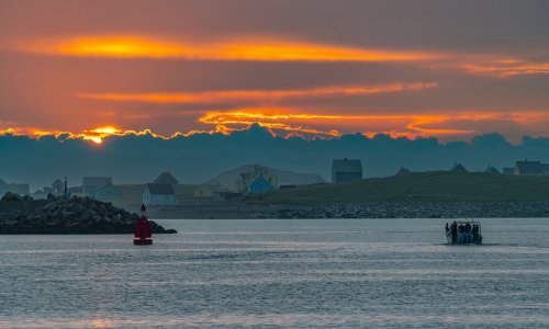 Arhipelagu poznatom po pticama nalik pingvinima Trump odrezao maksimalne carine: Zašto?