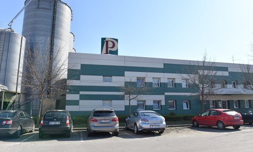 Perutnina Ptuj Pipo Čakovec lani ostvarili gotovo 82 milijuna eura neto prometa
