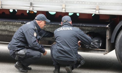 Carinici otkrili kako čuvaju granicu: Kad ni tehnologija ne može ništa, imaju još jedan adut